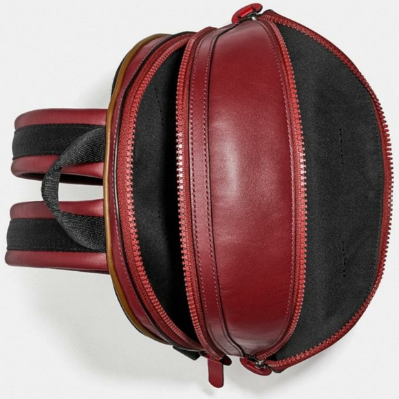 Coach Limited Edition Burlington VT Lake Monster - Picture 5 of 5